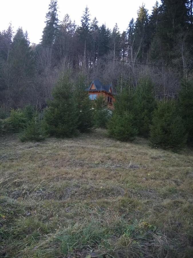 На Полумистому Villa Mykulychyn Eksteriør billede